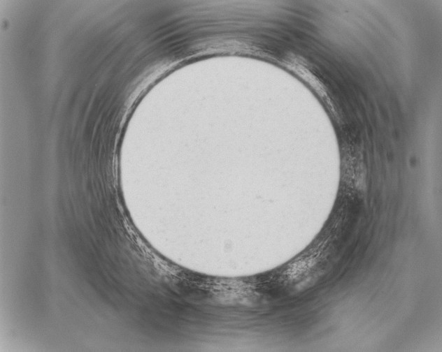 X0000058140807200510171401