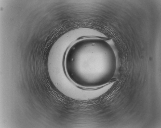 X0000058140818200510171400