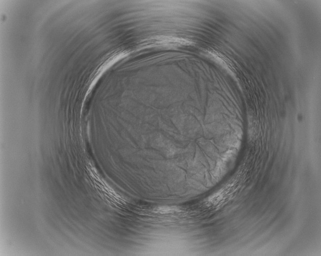 X0000058140835200510171400