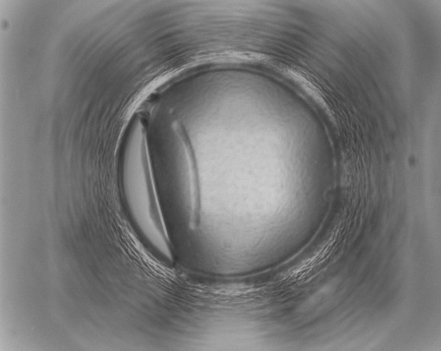 X0000058140837200510171400