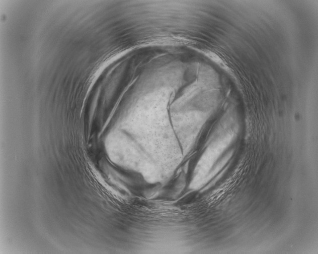 X0000058140838200510171400