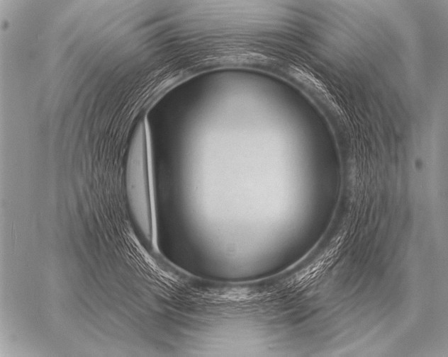X0000058140841200510171400