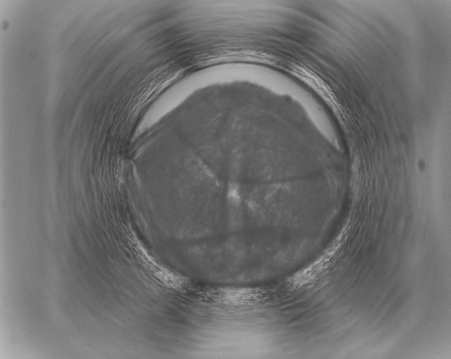 X0000058140849200510171400
