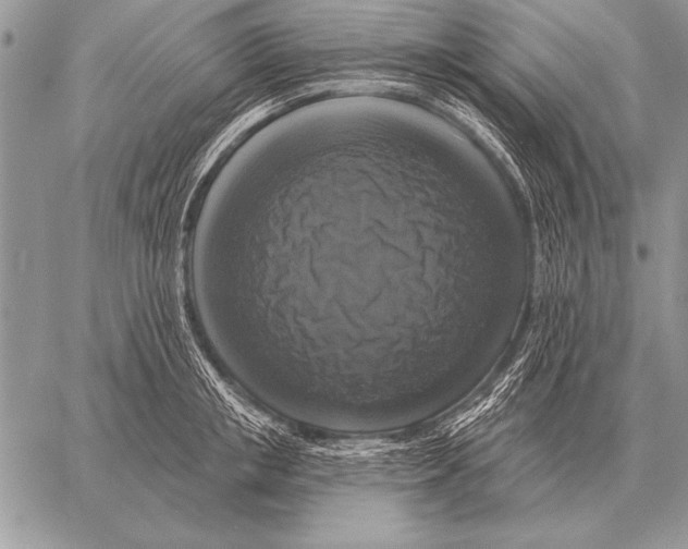 X0000058140853200510171400