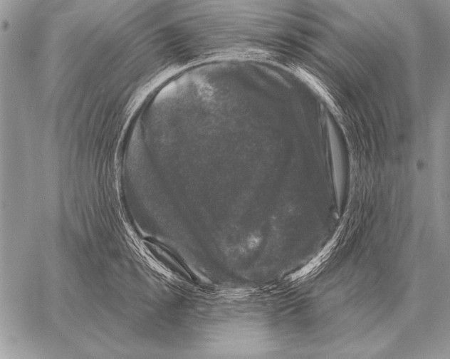 X0000058140854200510171400