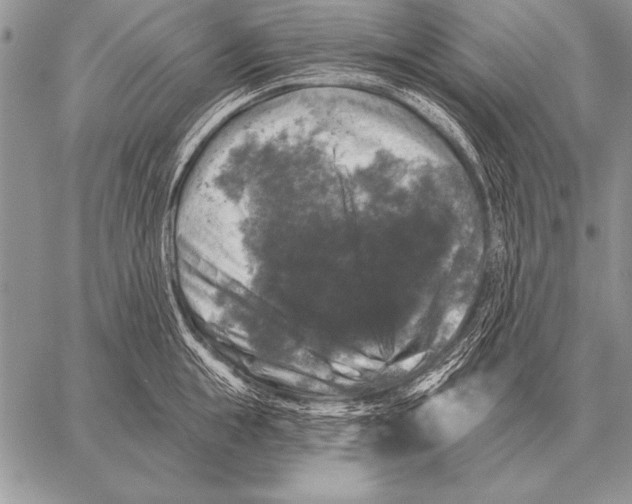 X0000058140855200510171400