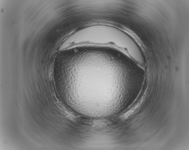 X0000058140857200510171400