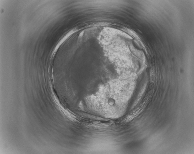 X0000058140859200510171400