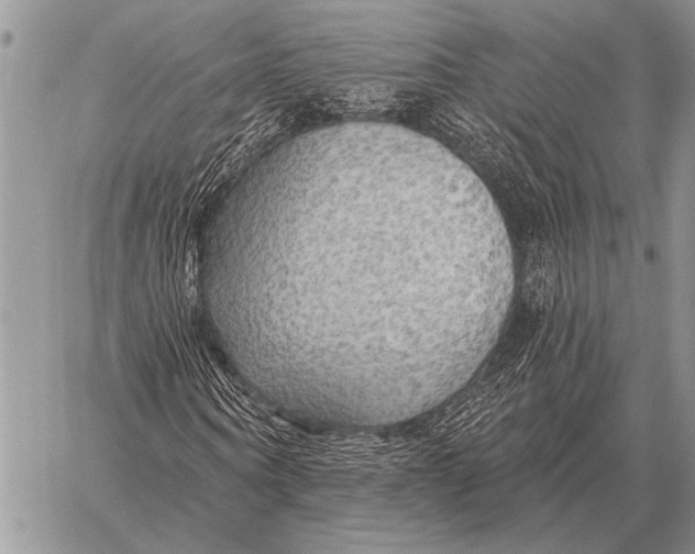 X0000058140866200510171400