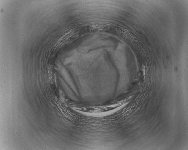 X0000058140868200510171359