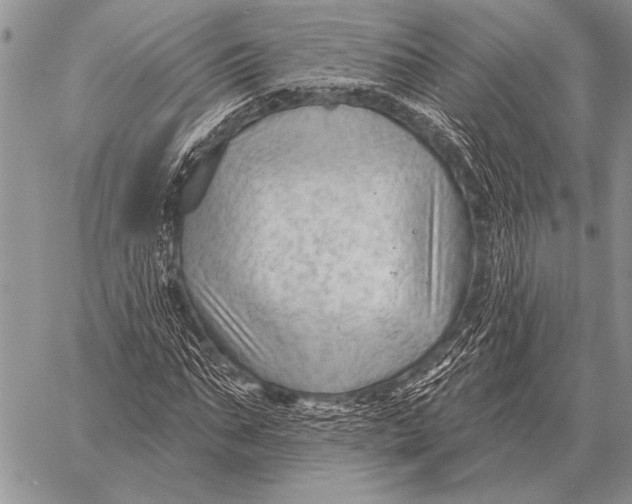 X0000058140871200510171359