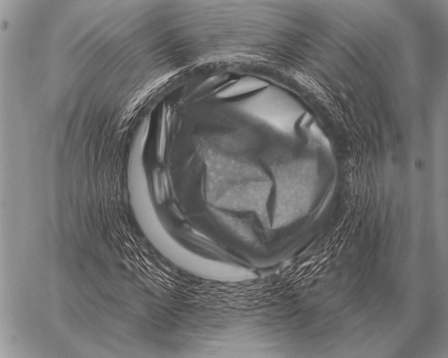 X0000058140872200510171359