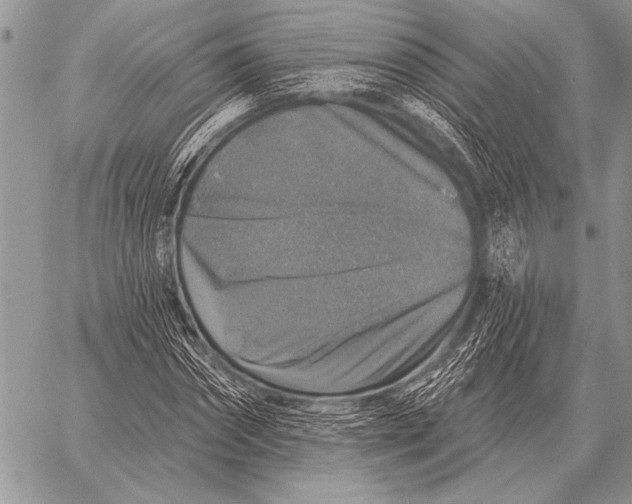 X0000058140874200510171359