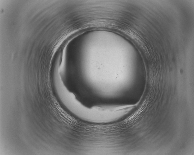 X0000058140880200510171359
