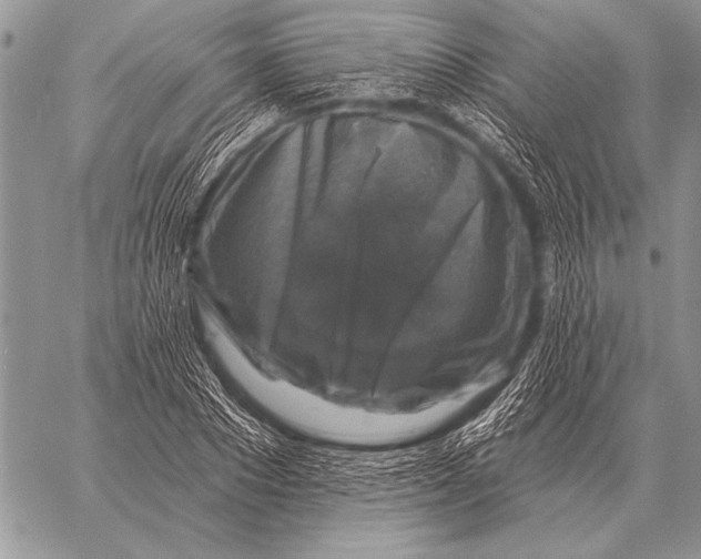 X0000058140881200510171359
