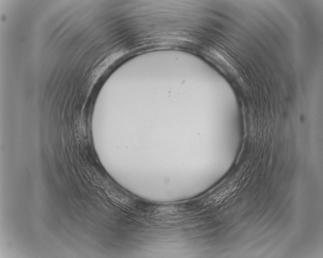 X0000058140883200510171359