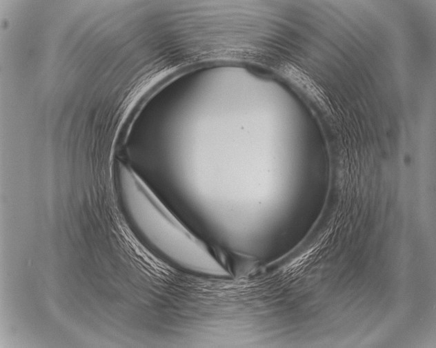 X0000058140884200510171359