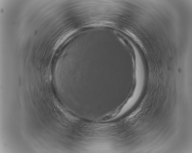 X0000058140885200510171359