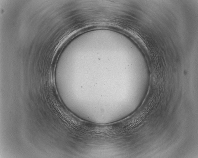 X0000058140887200510171359