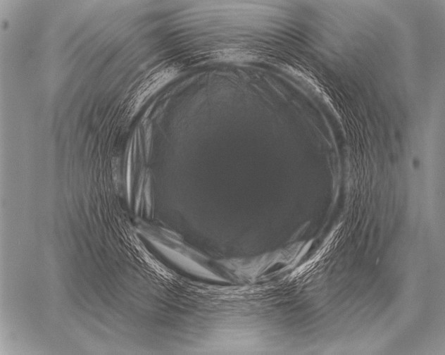 X0000058140889200510171359