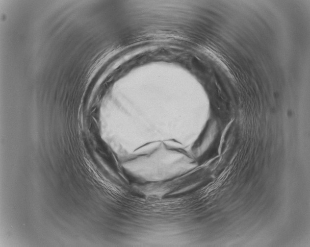 X0000058140891200510171359