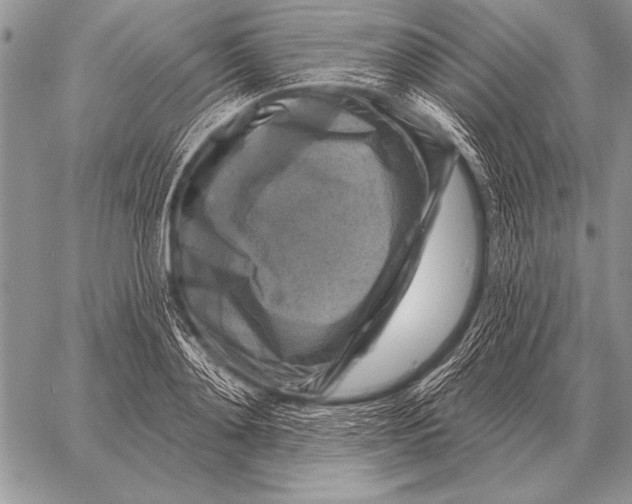 X0000058140892200510171359