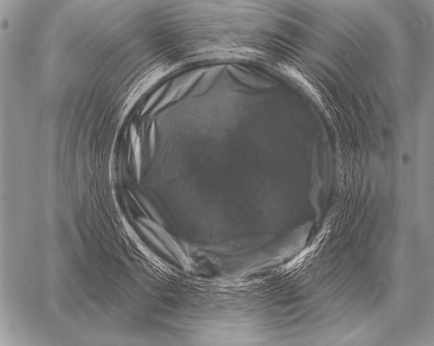 X0000058140893200510171359