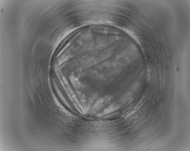 X0000058140895200510171359