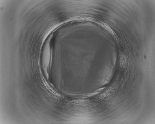 X0000058140896200510171359