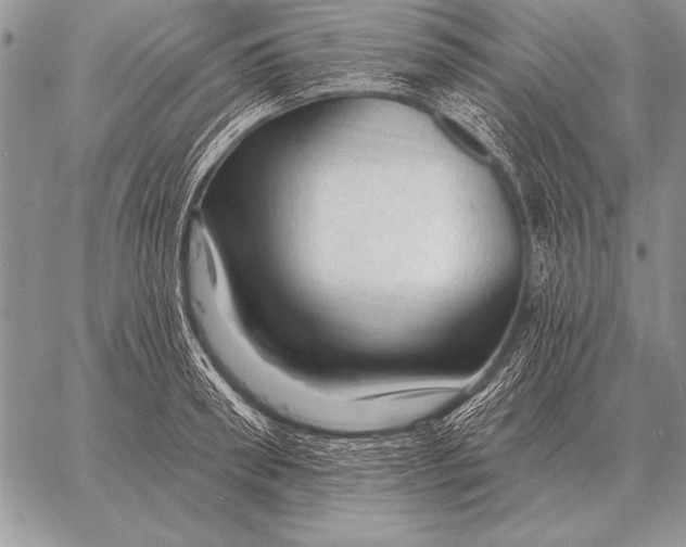 X0000058140898200510171359