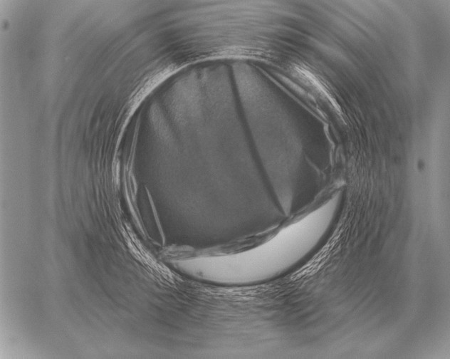 X0000058140900200510171359