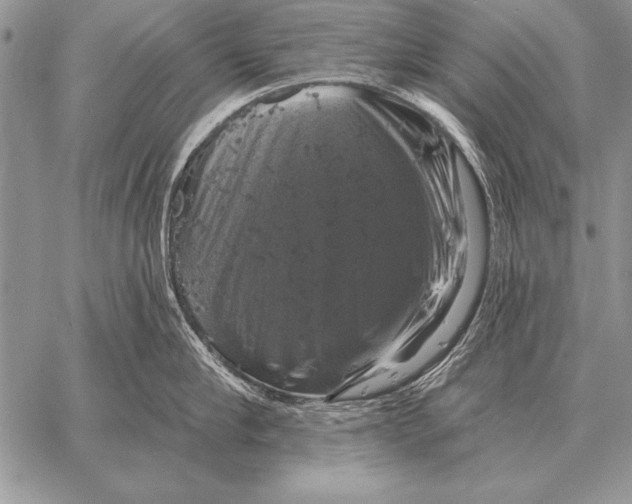 X0000058140910200510171359