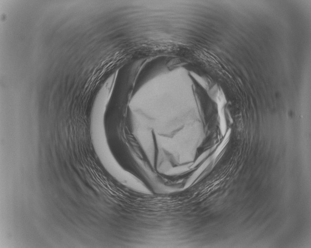 X0000058140916200510171358
