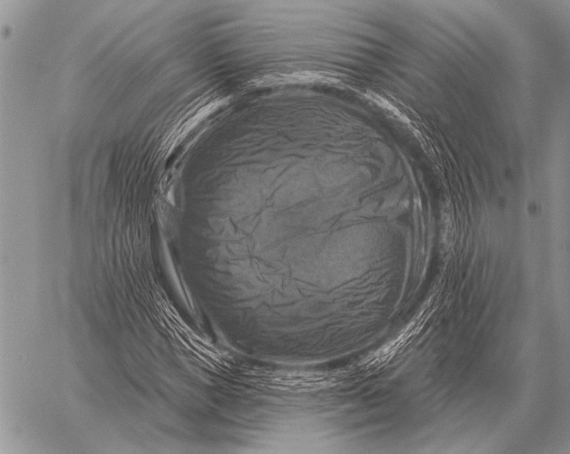 X0000058140921200510171358