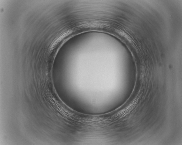 X0000058140922200510171358