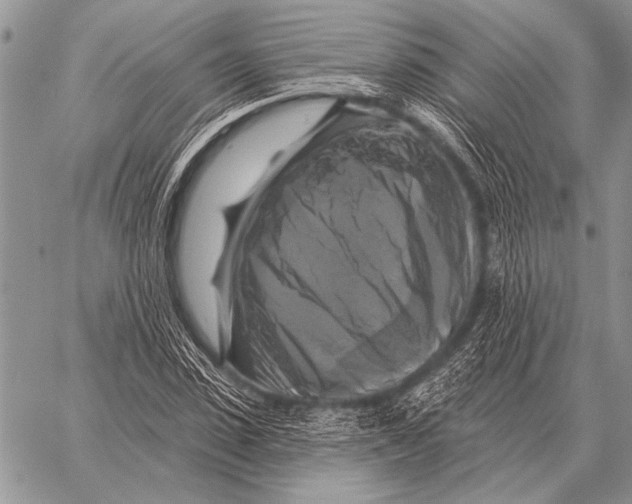 X0000058140923200510171358