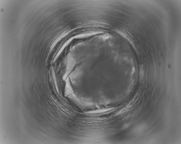 X0000058140925200510171358