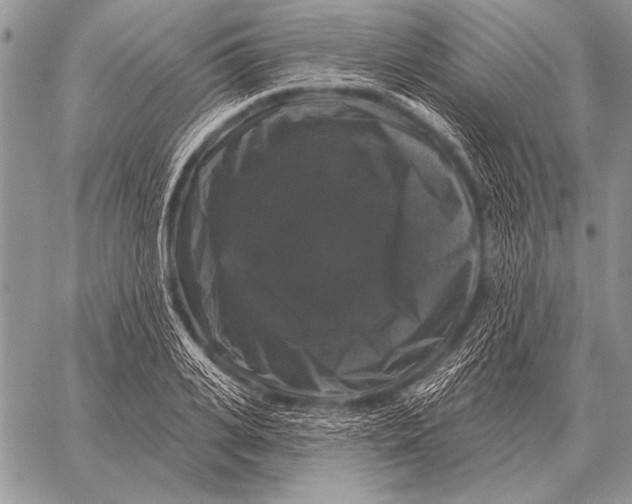 X0000058140935200510171358