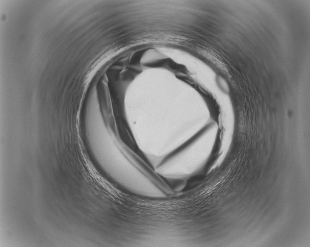 X0000058140936200510171358