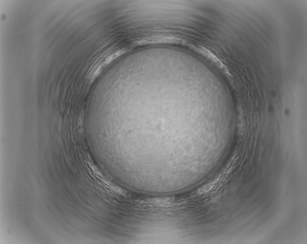 X0000058140937200510171358