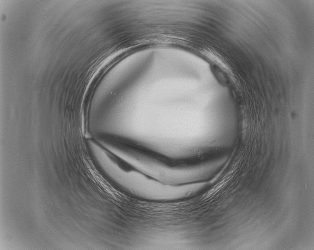 X0000058140940200510171358