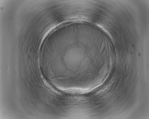 X0000058140941200510171358