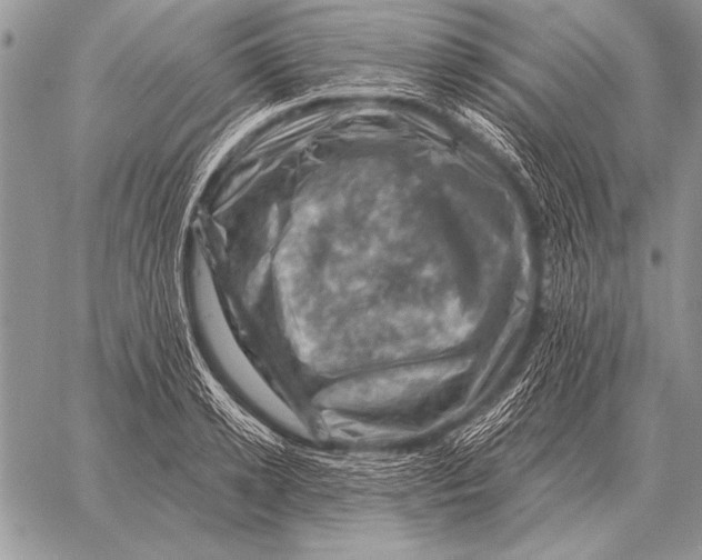 X0000058140942200510171358