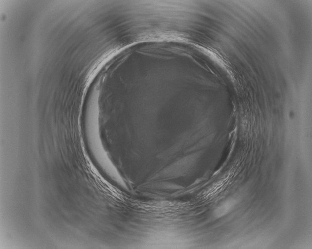 X0000058140943200510171358