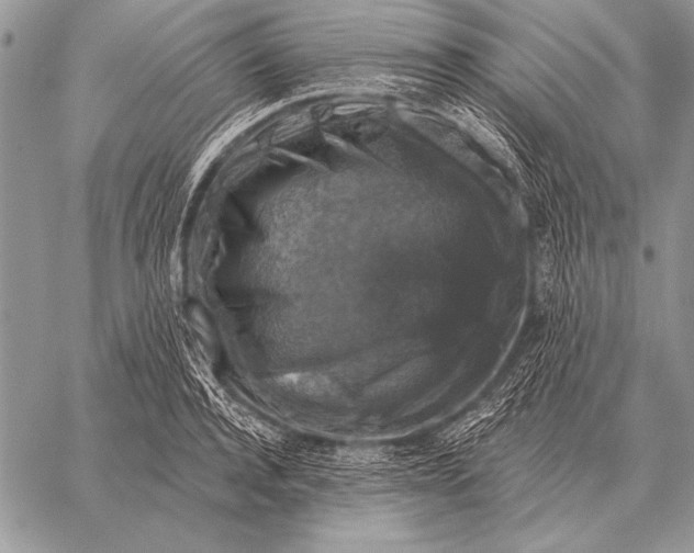X0000058140944200510171358
