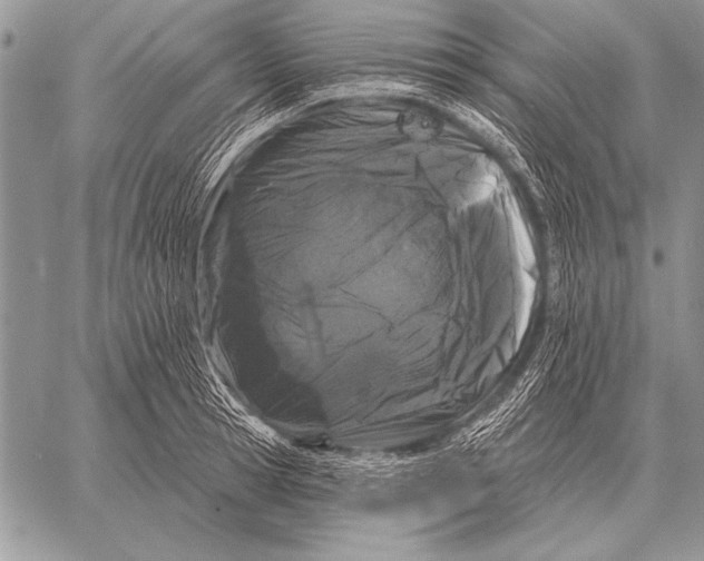 X0000058140945200510171358