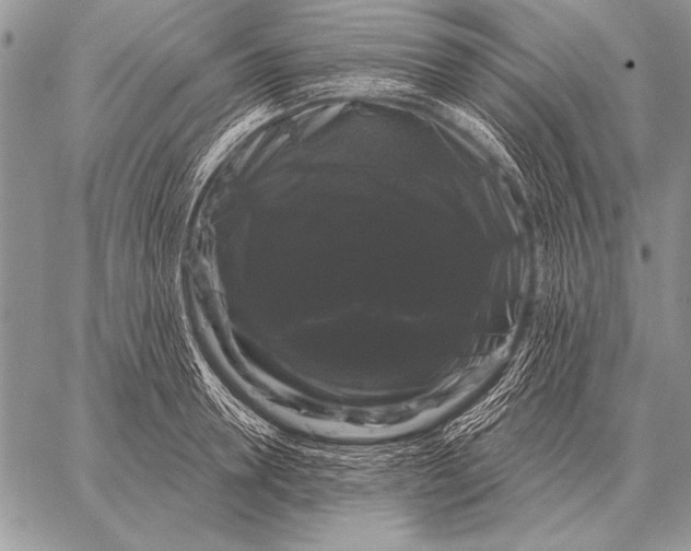 X0000058140946200510171359