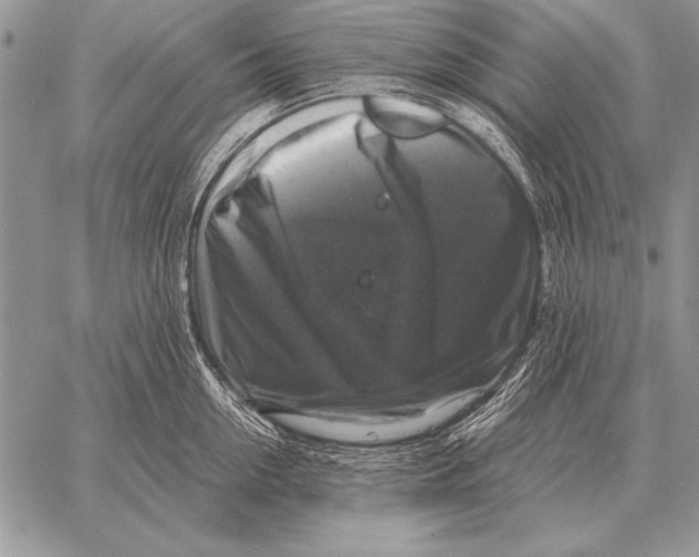 X0000058140954200510171359
