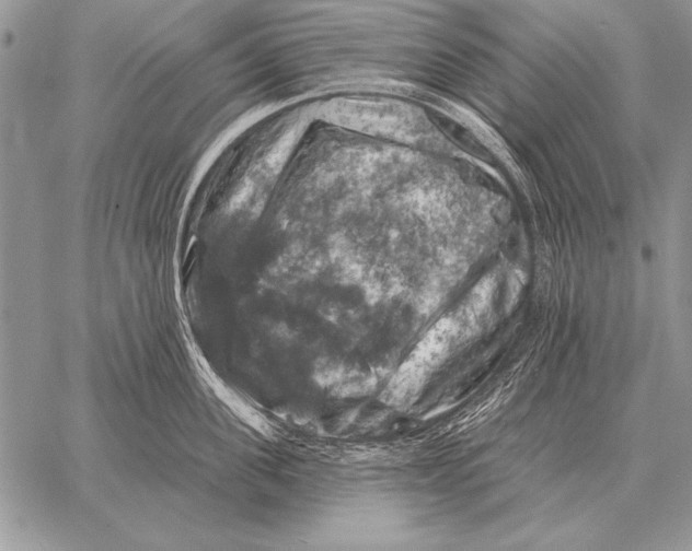 X0000058140955200510171359