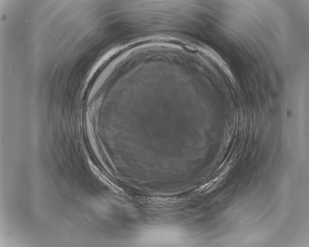 X0000058140958200510171359